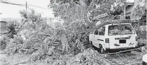  ??  ?? HEMPAP: Salah sebuah kereta yang dihempap pokok tumbang akibat angin kencang di Kota Kinabalu.