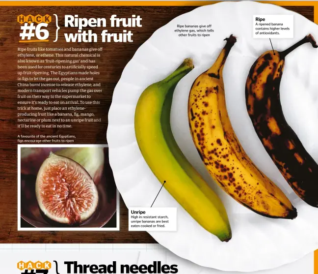  ??  ?? A favourite of the ancient Egyptians, figs encourage other fruits to ripen
Unripe
High in resistant starch, unripe bananas are best eaten cooked or fried. Ripe bananas give off ethylene gas, which tells other fruits to ripen
Ripe
A ripened banana...