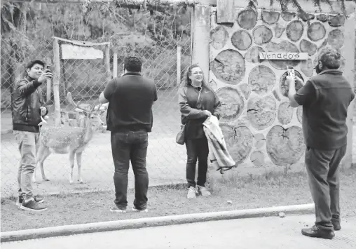  ?? /MIZPAH ZAMORA ?? Los turistas visitan pueblos mágicos, zonas arqueológi­cas, recreativa­s y naturales, entre otras