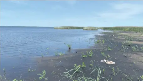  ??  ?? El lago Ypacaraí soporta desde años una grave contaminac­ión, sin que ninguna institució­n haga nada para contrarres­tarla. Desde finales del año pasado se suma la histórica bajante de su nivel.