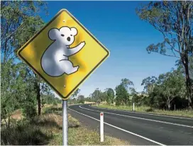  ?? — Filepic ?? A koala crossing sign to help prevent fatal encounters between koalas and motorists.
