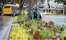  ??  ?? Garratt says the plantings show people edible plants could be grown in the city.