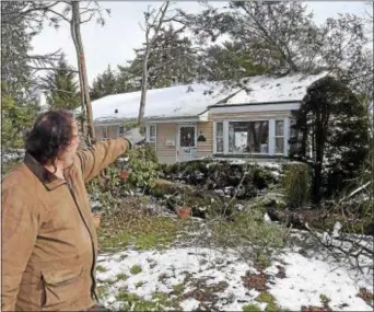  ?? PETE BANNAN – DIGITAL FIRST MEDIA ?? Mike Van Gieri of Havertown points to a tree that came down on the rear of his home, one of three that came down on his property. “It just stinks,” said Van Gieri.