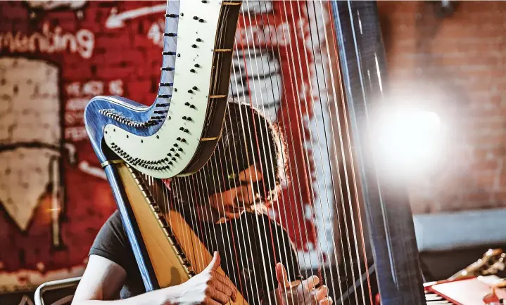  ?? ?? Creighton Griffiths will bring high-octane Gypsy Jazz to the Wales Harp Festival