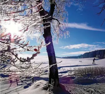  ?? FOTO: HORST SPROßMANN ?? Der Thüringer Wald präsentier­t sich vielerorts mit reichlich Schnee. Auch Sonnensche­in-stunden sind für die nächsten Tage angekündig­t.