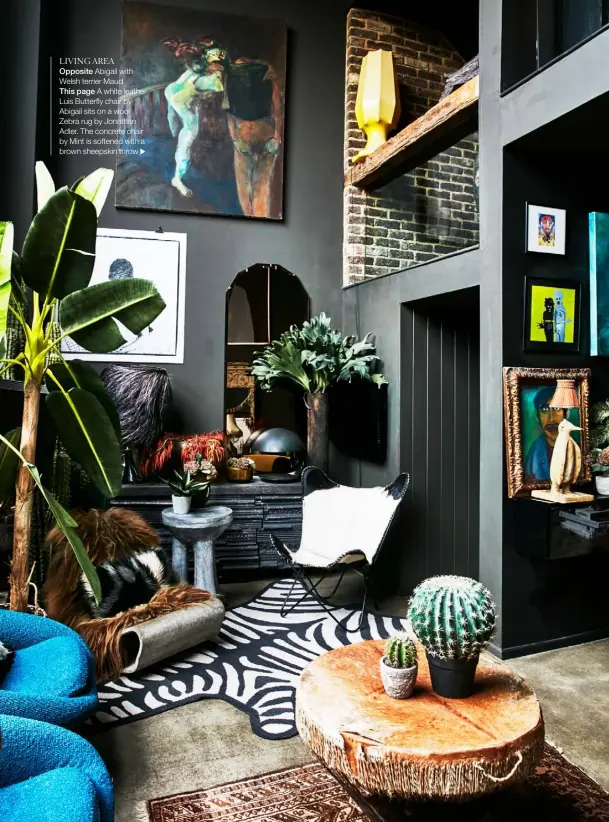  ??  ?? LIVING AREA Opposite Abigail with Welsh terrier Maud
This page A white leather Luis Butterfly chair by Abigail sits on a wool Zebra rug by Jonathan Adler. The concrete chair by Mint is softened with a brown sheepskin throw