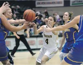  ?? BRYAN SCHLOSSER/REGINA LEADER-POST ?? University of Regina Cougar Avery Pearce goes after a loose ball amid a group Lethbridge Pronghorns on Friday night.