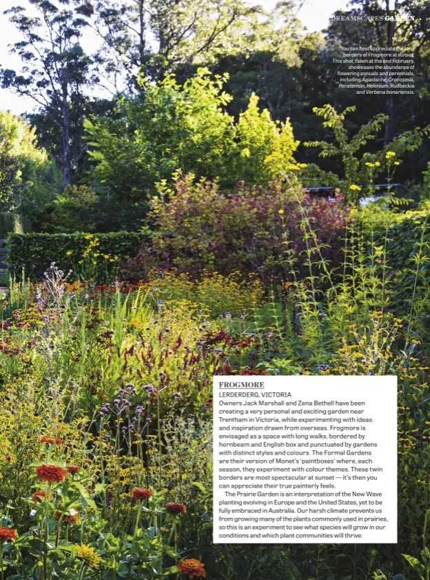  ??  ?? You can best appreciate the long borders of Frogmore at sunset. This shot, taken at the end February, showcases the abundance of flowering annuals and perennials, including Agastache, Crocosmia, Penstemon, Helenium, Rudbeckia and Verbena bonariensi­s.