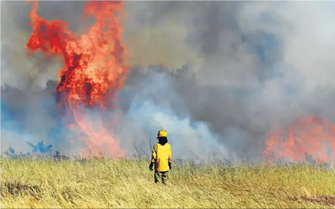  ?? ÁLVARO DOMÍNGUEZ ?? Un bombero, durante un incendio en el Cortijo de los Mimbrales.