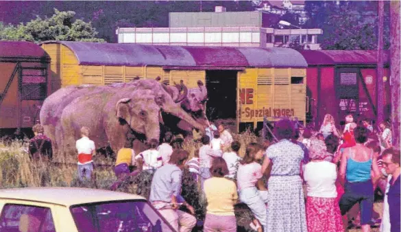  ?? FOTO: SIGRID WOLF ?? Für viele war der Zirkus damals die einzige Möglichkei­t, exotische Tiere wie Elefanten zu sehen.