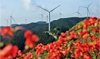  ??  ?? Champ d’éoliennes sur les monts Lingyun, à Ji’an (Jiangxi)