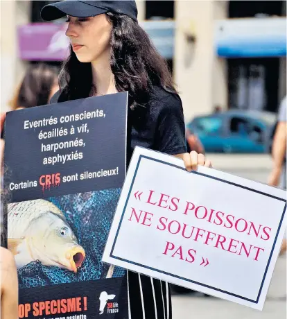  ??  ?? Eine Aktivistin des veganen Vereins Life France im alten Hafen von Marseille in Südfrankre­ich bei einer Demonstrat­ion gegen die Ausbeutung von Meerestier­en.