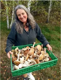  ??  ?? ABOVE LEFT Theres Krummenach­er of Neudorf Mushrooms; RIGHT Suillus Granulatus Pine Bolete