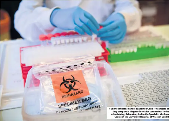  ??  ?? > Lab technician­s handle suspected Covid-19 samples as they carry out a diagnostic test for coronaviru­s in the microbiolo­gy laboratory inside the Specialist Virology Centre at the University Hospital of Wales in Cardiff