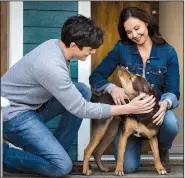  ??  ?? Lucas (Jonah Hauer-King) and his war veteran mother, Terri (Ashley Judd), bond with very good girl Bella (Shelby) in Charles Martin Smith’s