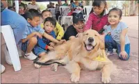  ?? ?? Arriba, niños acarician a un perro llevado para entretener­los durante la espera; a la izquierda y a la derecha, la espera del turno de atención