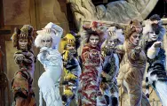  ?? ?? «Cats, il musical» di Massimo Romeo Piparo
