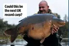  ??  ?? Could this be the next UK record carp?
