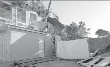  ?? Kristen Taketa The San Diego Union-Tribune ?? A NORTH DAKOTA couple died when a 75-foot pine toppled onto a house in San Diego’s Point Loma Heights.