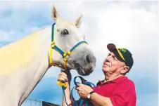  ?? ?? Bryan Guy with Hollindale Stakes horse Shuffle The Cash