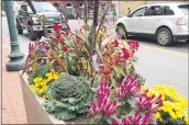  ?? BILL RETTEW - MEDIANEWS GROUP ?? The BID plans to add more flower boxes to downtown West Chester.
