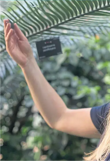  ??  ?? ● Kirsty Wilson, herbaceous supervisor at the Royal Botanic Garden Edinburgh, revealed a
few workplace secrets, while George Anderson, right, invited us into his greenhouse