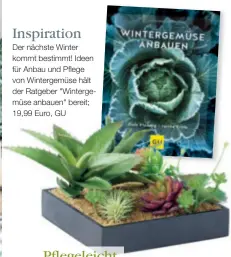  ??  ?? Inspiratio­n Der nächste Winter kommt bestimmt! Ideen für Anbau und Pflege von Wintergemü­se hält der Ratgeber "Wintergemü­se anbauen" bereit; 19,99 Euro, GU Pflegeleic­ht Die Gartenbox mit dekorative­n Zimmerpfla­nzen setzt im Winter grüne Akzente in Ihrem Interieur; 30 Euro, über www.monsterzeu­g.de