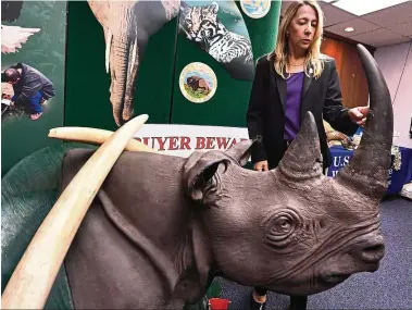  ??  ?? US Fish and Wildlife agent Erin Dean stands beside a stuffed and smuggled rhinoceros.