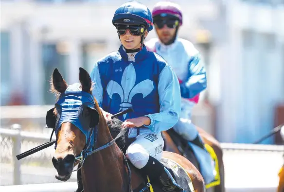  ?? Picture: SIMON CROSS ?? Adelaide jockey Anna Jordsjo will be riding in six of the 12 races on Darwin Cup Day at Fannie Bay.
