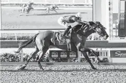  ?? BENOIT PHOTO ?? Blue Stripe and jockey Hector Berrios hit the finish of the Grade I, $400,000 Clement L. Hirsch Stakes on Saturday at Del Mar.