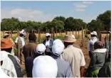  ?? ?? NARDI Senior Research Scientist Ms Ketseemang Safi presenting on seed increase of new tomato varieties.