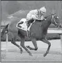  ?? The Sentinel-Record file photo ?? Terra Promessa will attempt to defend her title in the Bayakoa Stakes at Oaklawn Park today in Hot Springs. Terra Promessa is the betting favorite at 2-1 odds.