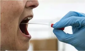  ??  ?? A medical worker performs a mouth swab on a patient to test for Covid-19 in Copenhagen, Denmark. Photograph: Niels Christian Vilmann/AP