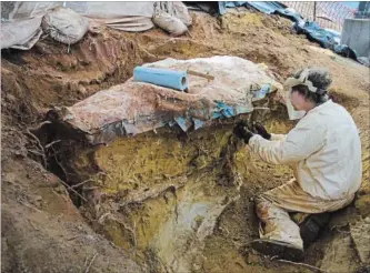  ?? NASA/GSFC/REBECCA ROTH WASHINGTON POST ?? Following Ray Stanford's 2012 discovery, a NASA volunteer works to excavate the slab containing the fossil.