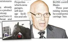  ??  ?? Parking garage magnate Steve Nislick is working to save carriage horses. (l.).