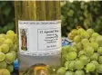  ??  ?? Bis der Jahrgang 2018 des 12 Apostel wein vom Weingut St. Anna in Dinkel scherben verkostet werden kann, ver geht noch einige Zeit.