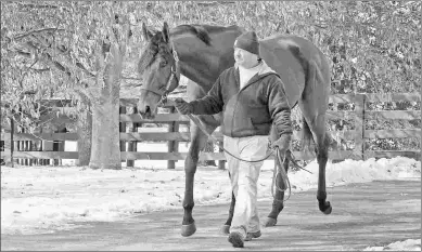  ?? BARBARA D. LIVINGSTON ?? The stallion Quality Road now counts two champion daughters on his résumé.