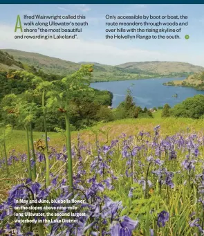  ??  ?? In May and June, bluebells flower on the slopes above nine-milelong Ullswater, the second largest waterbody in the Lake District