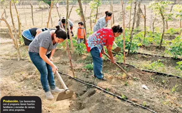  ??  ?? Producción. Los favorecido­s con el programa tienen huertos familiares y escuelas de campo, entre otros proyectos.