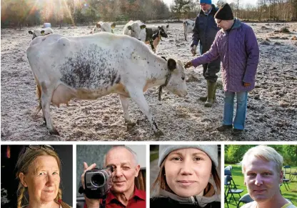  ?? Bild: HP/ARKIV ?? PÅ FÖRSLAG. Lars och Evy Schale, Monica Schramm, Helge Nilsson, Anna Pettersson och Per Eriksson är några av förslagen på pristagare som allmänhete­n har skickat in till Laholms kommun.