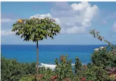  ?? ?? Aussicht auf Dominica: Der Inselstaat in den Kleinen Antillen bietet Berge, natürliche Thermalque­llen und tropische Regenwälde­r.