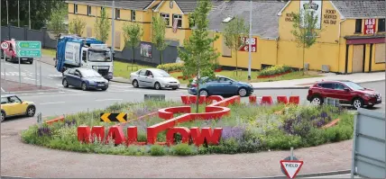  ?? Photo by Sheila Fitzgerald. ?? The Annabella Roundabout. SEAN TWOMEY R.I.P.