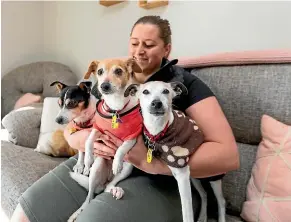  ?? SIMON O’CONNOR/STUFF ?? Kate Stanley’s New Plymouth home doubles as a rescue dog retirement village for Tiny, Indy and Jovi.