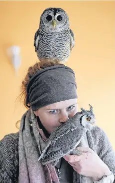  ?? FOTO: DPA ?? Bianka Wolf mit dem Chacokauz „Radagast“(oben) und der Weißgesich­tseule „Gandalf“. Die Heilprakti­kerin meint: Eulen können bei Burn-Out helfen.