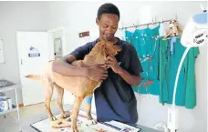  ??  ?? Sandile Ndlovu is a kennel assistant at Chase Valley Veterinary Clinic.