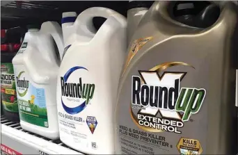  ?? HAVEN DALEY / AP, FILE ?? A federal appeals court has rejected a Trump administra­tion finding that glyphosate, the active ingredient in the weed killer Roundup, does not pose a serious health risk and is “not likely” to cause cancer in humans.