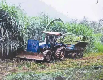  ??  ?? The Enerossi Silage Mower cuts and shreds the forage crop simultaneo­usly.