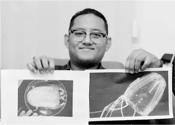  ??  ?? Mohd Fazrul showing pictures of ‘Box Jellyfish’. - Bernama photo