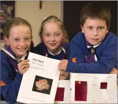  ??  ?? Beavers Aisling and Aoife Haines and Elijah Rooney with their plan.