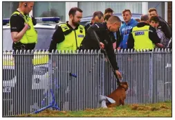  ??  ?? Subdued: Police remove Marley after fathers tied it to railings